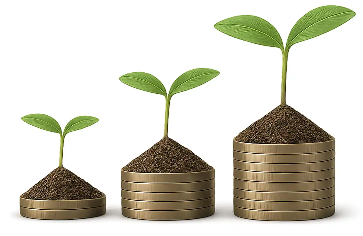 Cash Accounts Growth